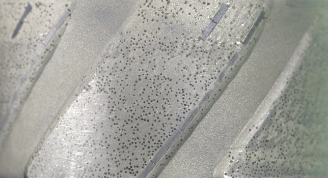 Screenshot 2026-03-11 at 5.09.46 PM